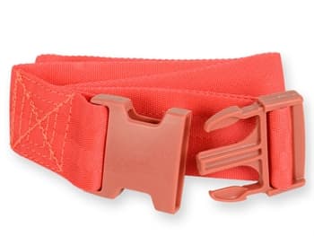 GIMA Immobilization Belt with Plastic Snap-Lock – 34010