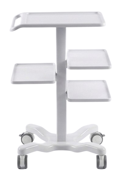 Multi-Purpose Trolley