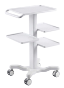 Multi-Purpose Trolley